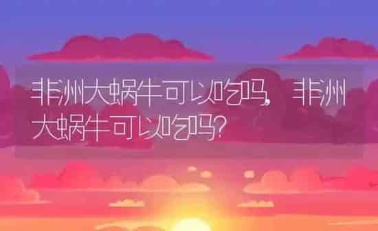 非洲大蜗牛可以吃吗,非洲大蜗牛可以吃吗？ | 养殖科普