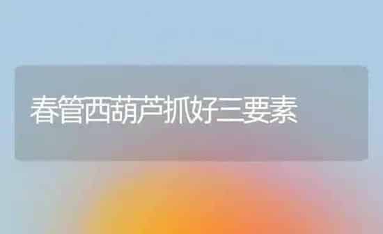 春管西葫芦抓好三要素 | 养殖技术大全