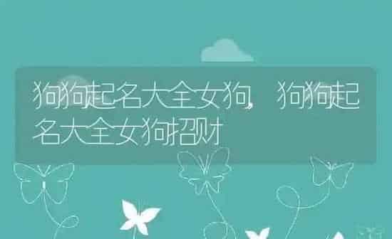 狗狗起名大全女狗,狗狗起名大全女狗招财 | 养殖科普