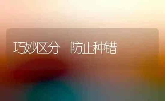 巧妙区分 防止种错 | 养殖知识