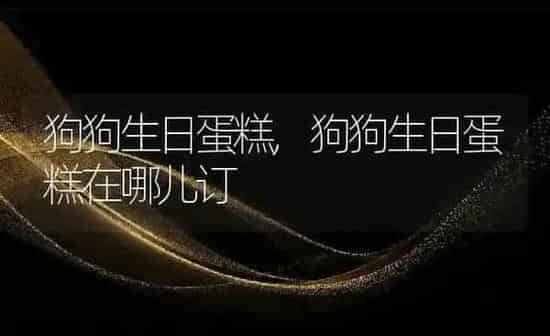 狗狗生日蛋糕,狗狗生日蛋糕在哪儿订 | 养殖科普