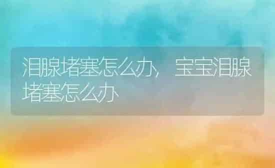 泪腺堵塞怎么办,宝宝泪腺堵塞怎么办 | 养殖科普