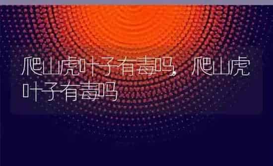 爬山虎叶子有毒吗,爬山虎叶子有毒吗 | 养殖科普