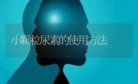 小颗粒尿素的使用方法 | 养殖知识
