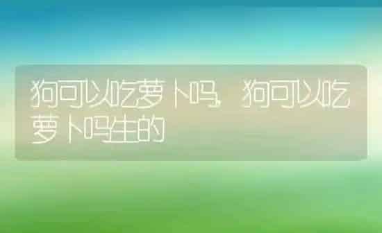 狗可以吃萝卜吗,狗可以吃萝卜吗生的 | 养殖科普