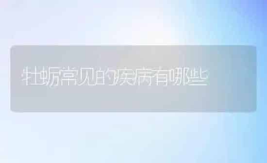 牡蛎常见的疾病有哪些 | 养殖知识