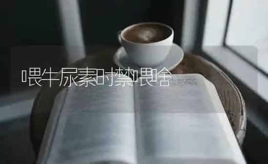 喂牛尿素时禁喂啥 | 养殖知识