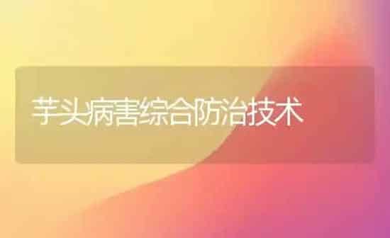 芋头病害综合防治技术 | 养殖技术大全