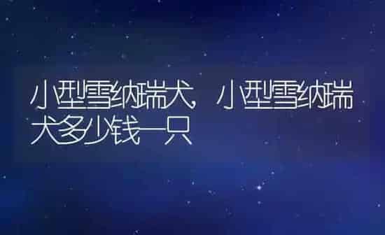 小型雪纳瑞犬,小型雪纳瑞犬多少钱一只 | 养殖资料
