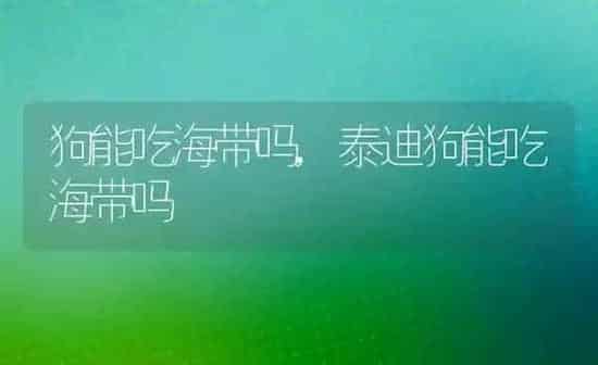 狗能吃海带吗,泰迪狗能吃海带吗 | 养殖科普