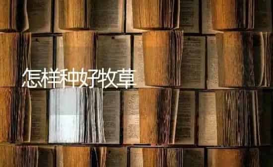 怎样种好牧草 | 养殖知识