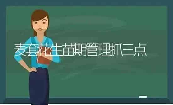 麦套花生苗期管理抓三点 | 养殖知识