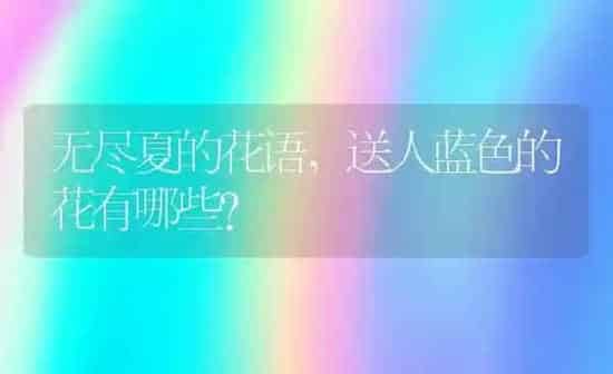跑的最快的狗,跑的最快的狗排名 | 养殖科普