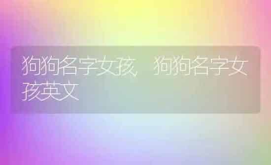狗狗名字女孩,狗狗名字女孩英文 | 养殖科普
