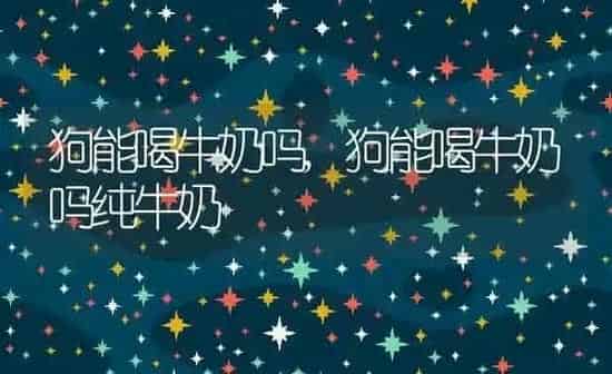 狗能喝牛奶吗,狗能喝牛奶吗纯牛奶 | 养殖科普