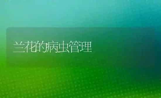 兰花的病虫管理 | 养殖技术大全