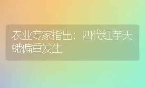 农业专家指出：四代红芋天蛾偏重发生 | 养殖技术大全