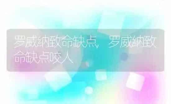 罗威纳致命缺点,罗威纳致命缺点咬人 | 养殖资料