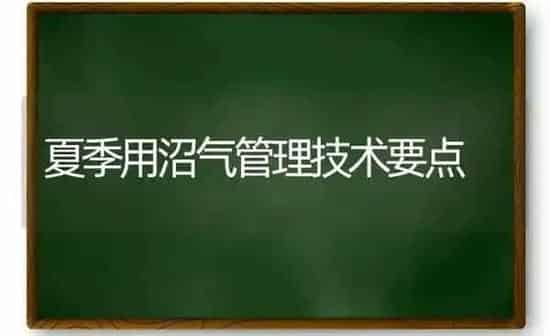 夏季用沼气管理技术要点 | 养殖知识