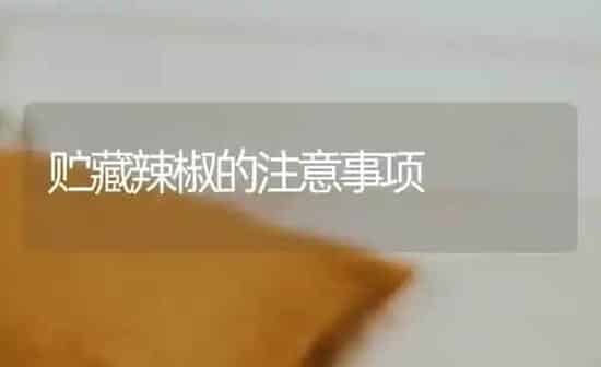 贮藏辣椒的注意事项 | 养殖知识