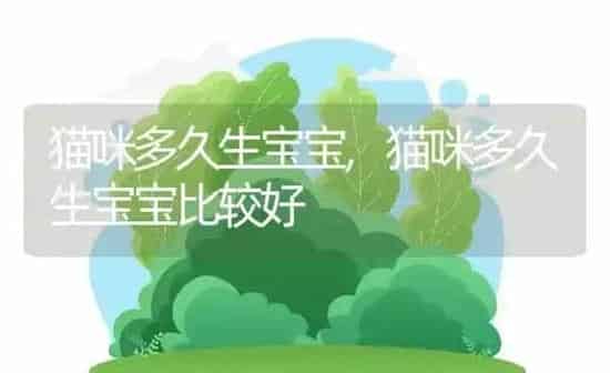 猫咪多久生宝宝,猫咪多久生宝宝比较好 | 养殖科普