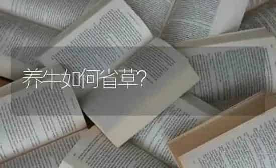 投放泥鳅苗把握六要点 | 养殖知识