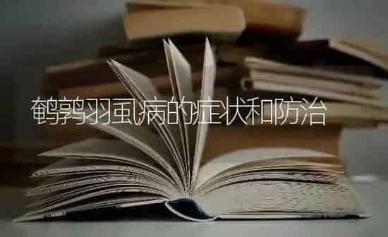 鹌鹑羽虱病的症状和防治 | 养殖技术大全