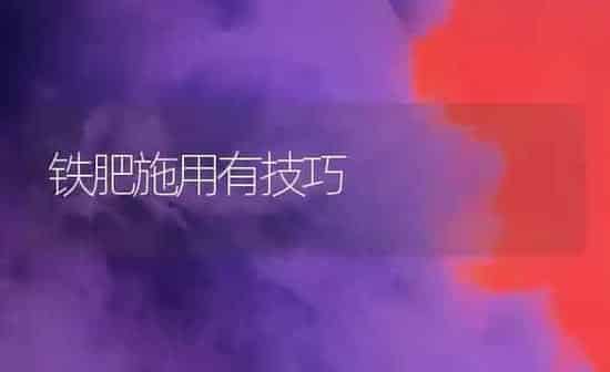 铁肥施用有技巧 | 养殖知识