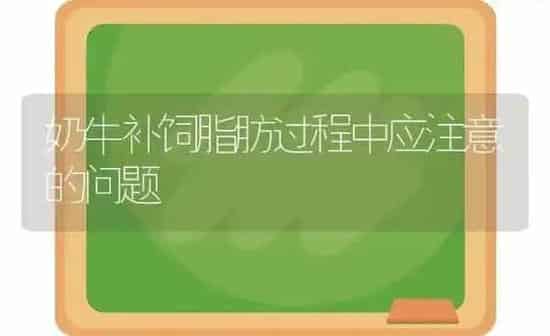 奶牛补饲脂肪过程中应注意的问题 | 养殖知识