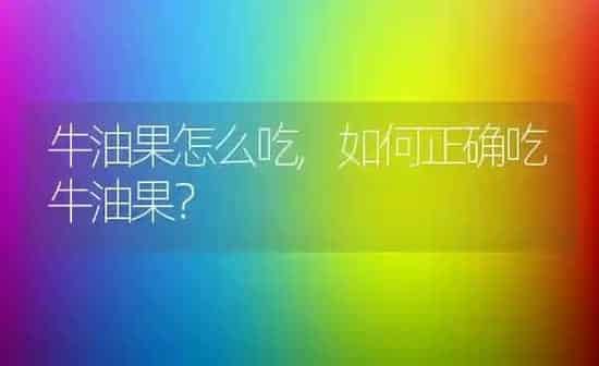 牛油果怎么吃,如何正确吃牛油果？ | 养殖科普