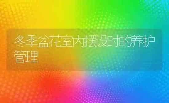 冬季盆花室内摆设时的养护管理 | 养殖技术大全