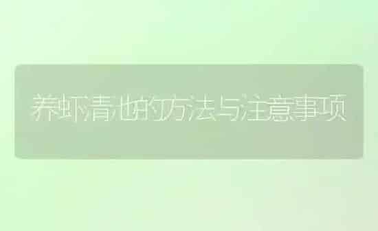 养虾清池的方法与注意事项 | 养殖知识