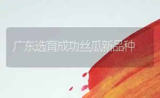 广东选育成功丝瓜新品种 | 养殖知识