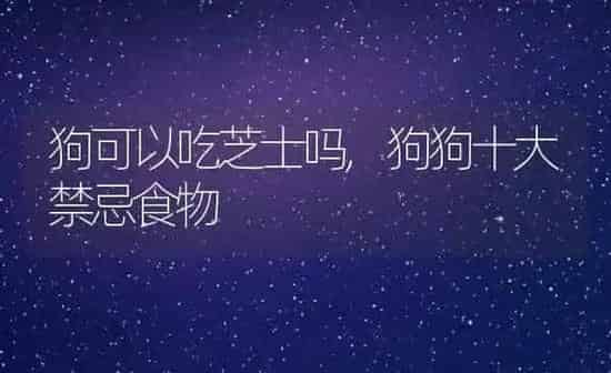 狗可以吃芝士吗,狗狗十大禁忌食物 | 养殖科普