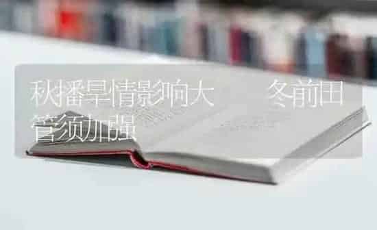 秋播旱情影响大  冬前田管须加强 | 养殖知识