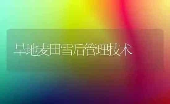 旱地麦田雪后管理技术 | 养殖知识