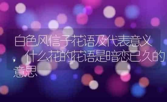 白色风信子花语及代表意义,什么花的花语是暗恋已久的意思 | 养殖学堂