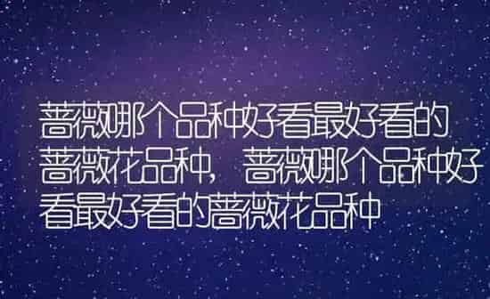 蔷薇哪个品种好看最好看的蔷薇花品种,蔷薇哪个品种好看最好看的蔷薇花品种 | 养殖科普
