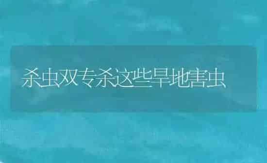杀虫双专杀这些旱地害虫 | 养殖技术大全