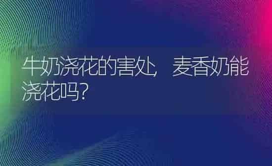 牛奶浇花的害处,麦香奶能浇花吗？ | 养殖科普