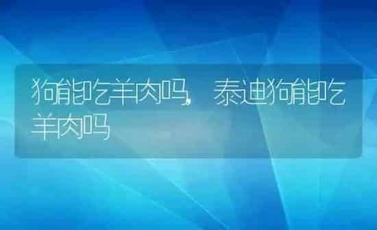 狗能吃羊肉吗,泰迪狗能吃羊肉吗 | 养殖科普