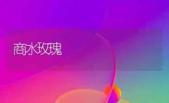 商水玫瑰 | 养殖知识