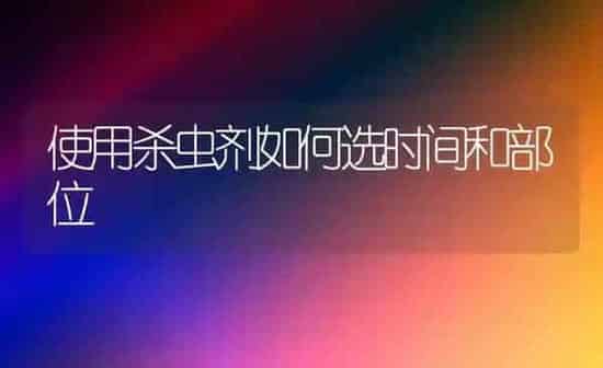 使用杀虫剂如何选时间和部位 | 养殖知识