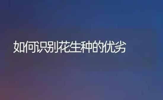 如何识别花生种的优劣 | 养殖知识