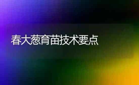 春大葱育苗技术要点 | 养殖技术大全