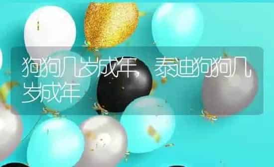 狗狗几岁成年,泰迪狗狗几岁成年 | 养殖科普