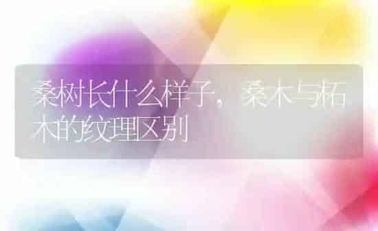 榛子是生吃好还是熟吃好,腰果和榛子，哪个更好吃？ | 养殖学堂