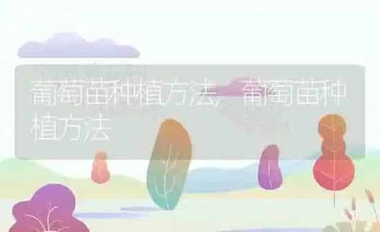 什么动物吃蚂蚁,什么动物吃蚂蚁为生 | 养殖资料
