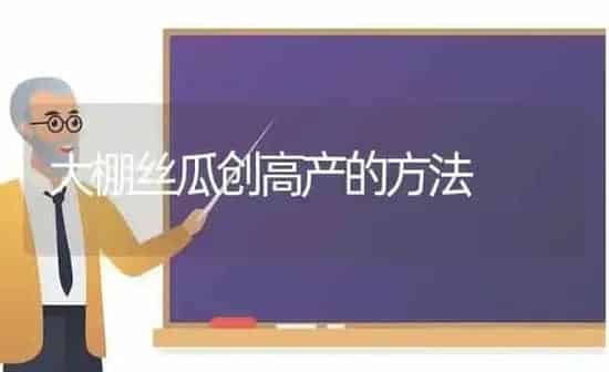 大棚丝瓜创高产的方法 | 养殖技术大全