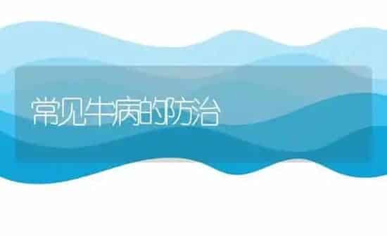 常见牛病的防治 | 养殖技术大全